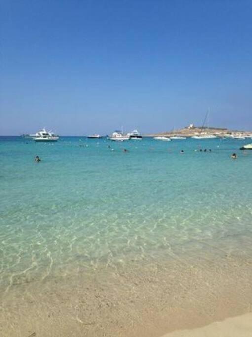 Bay * Mellieha
